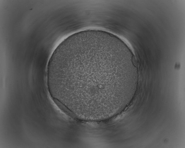 X0000090470911200708031302