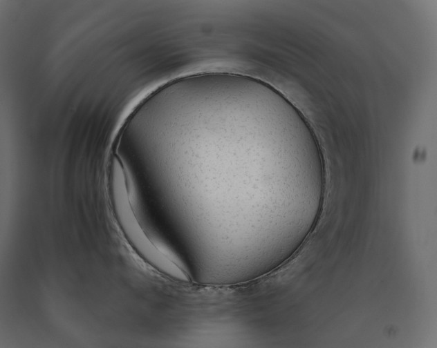 X0000090470912200708031302