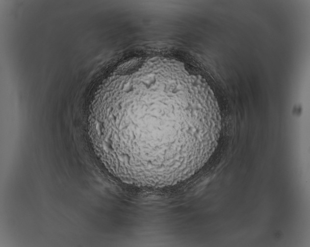 X0000090470913200708031301