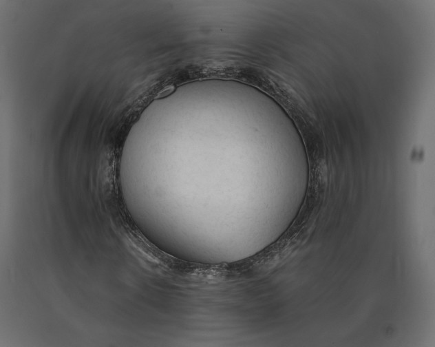 X0000090470914200708031301