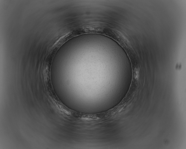 X0000090470915200708031301