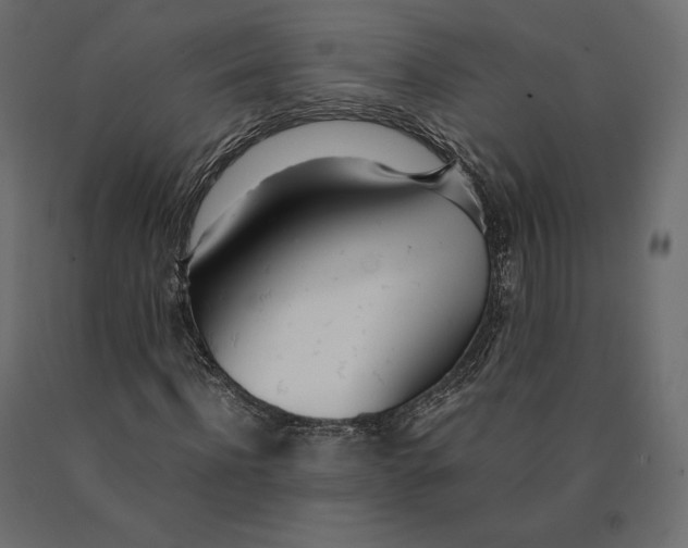 X0000090470916200708031301