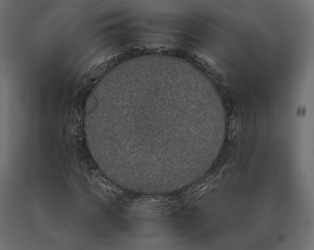 X0000090470917200708031301