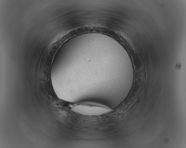 X0000090470919200708031301