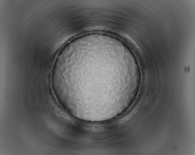 X0000090470921200708031301