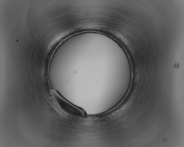 X0000090470922200708031301