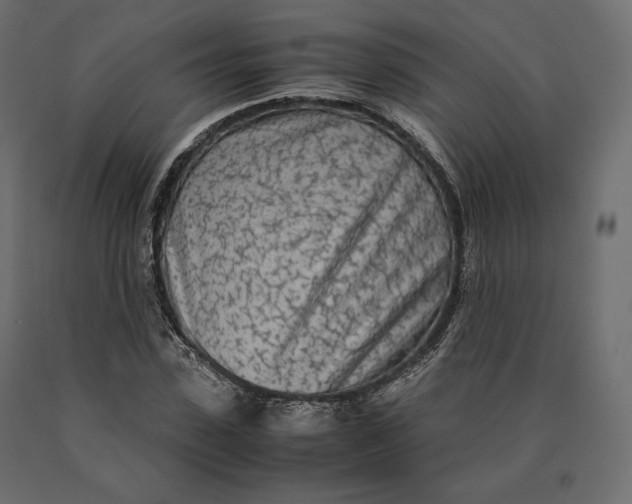 X0000090470923200708031301