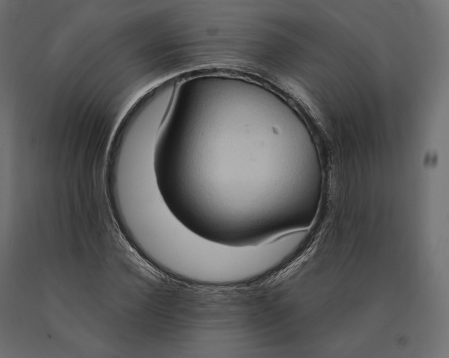 X0000090470924200708031301