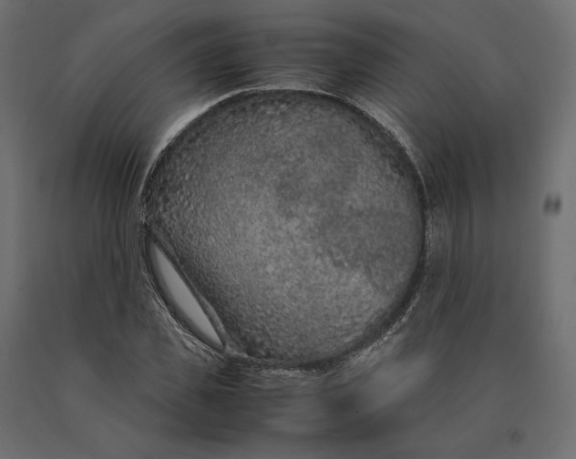 X0000090470925200708031301