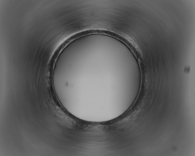 X0000090470926200708031301