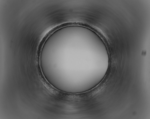 X0000090470927200708031301