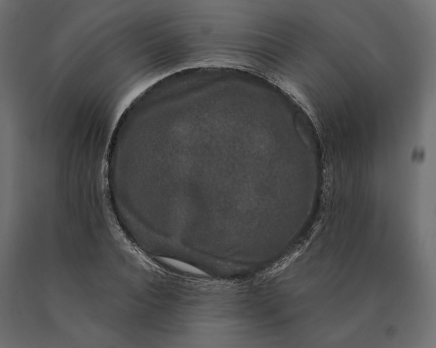 X0000090470928200708031301