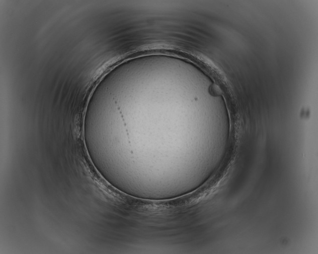 X0000090470929200708031301