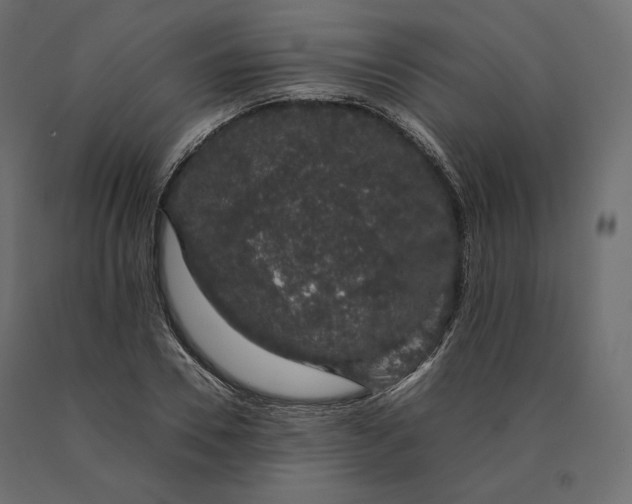 X0000090470930200708031301