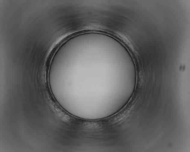 X0000090470931200708031301