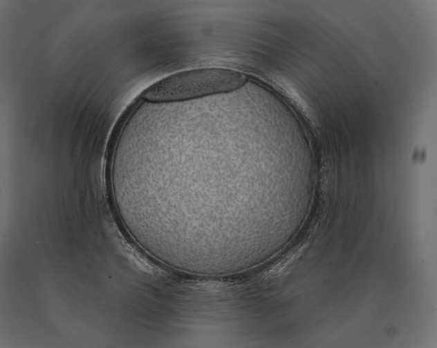 X0000090470932200708031301