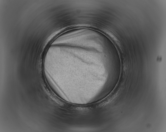 X0000090470933200708031301