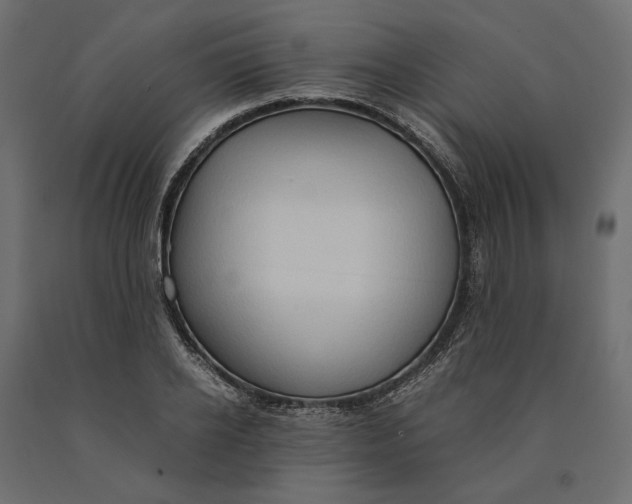 X0000090470934200708031301