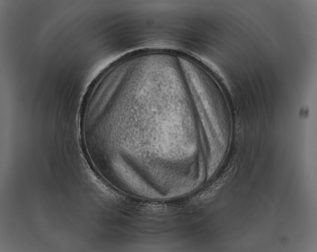 X0000090470935200708031301