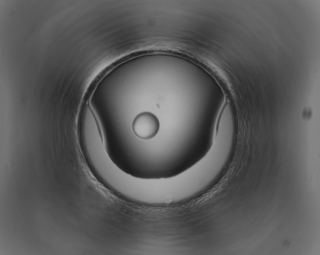 X0000090470936200708031301