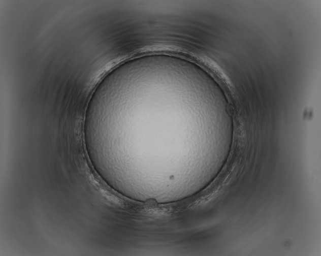 X0000090470937200708031301