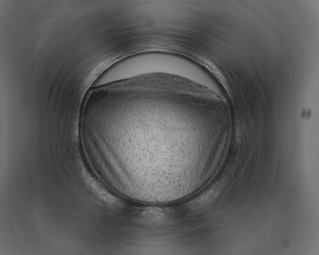 X0000090470938200708031301