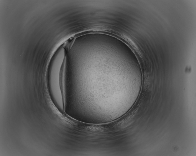 X0000090470939200708031301