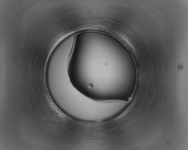 X0000090470940200708031301