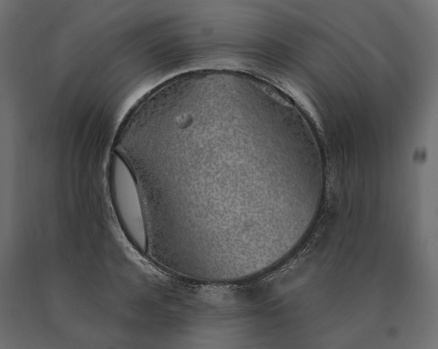 X0000090470944200708031301