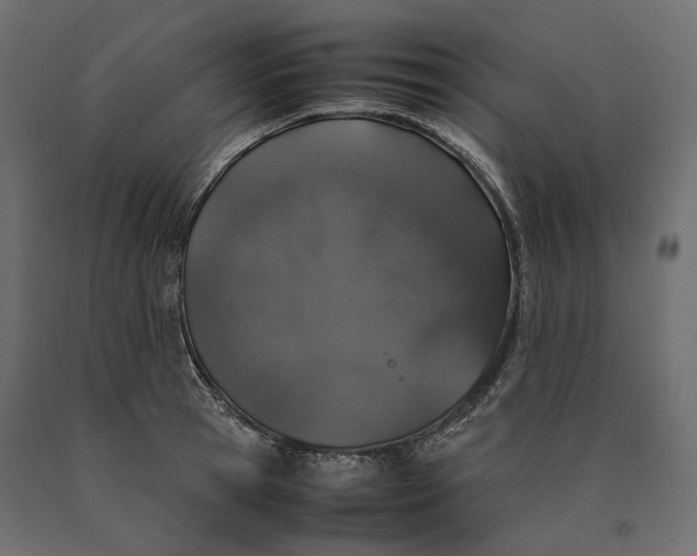 X0000090470945200708031302