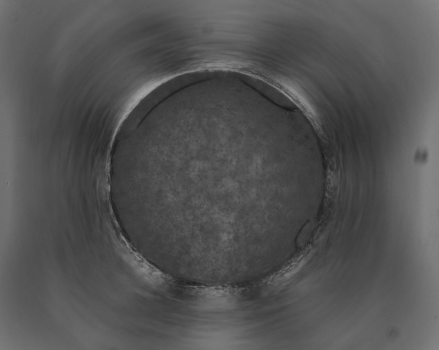 X0000090470948200708031302