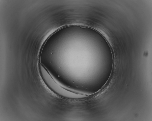 X0000090470949200708031302