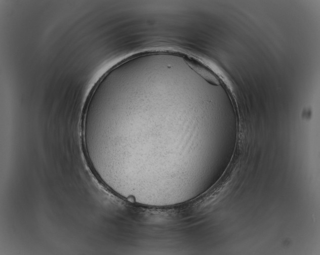 X0000090470951200708031302