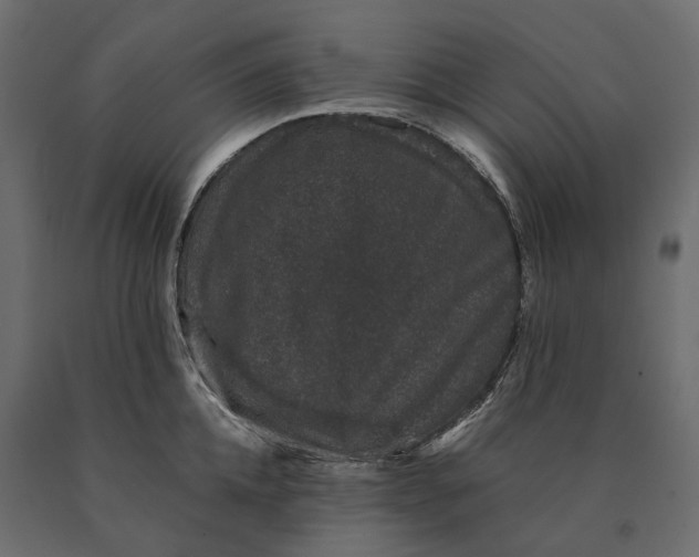 X0000090470952200708031302