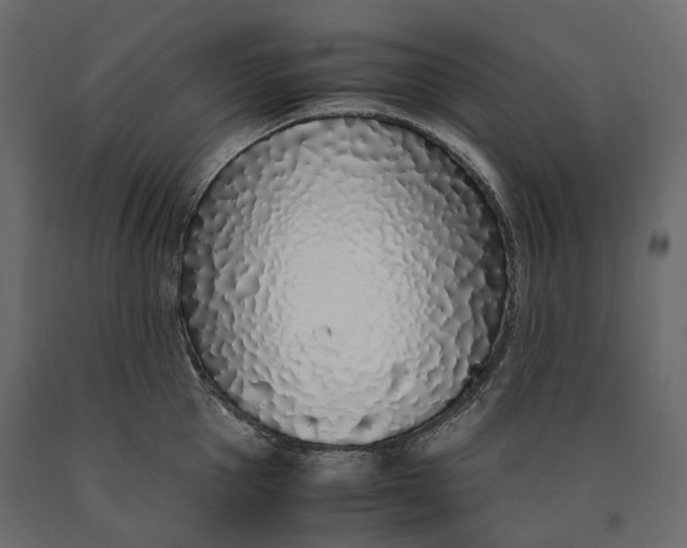 X0000090470953200708031302