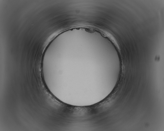 X0000090470954200708031302