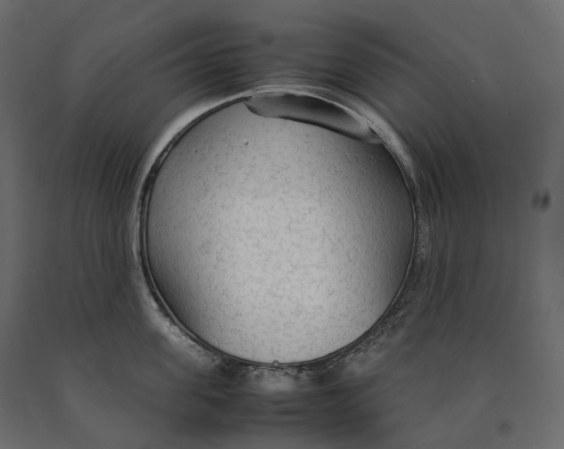 X0000090470955200708031302