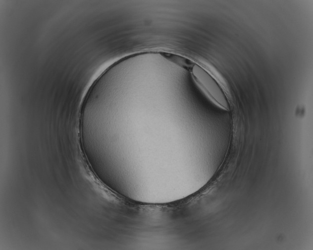 X0000090470956200708031302