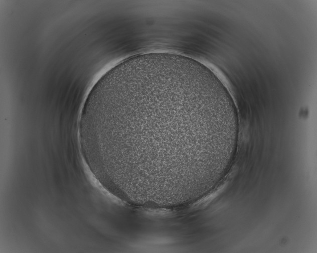 X0000090470957200708031302