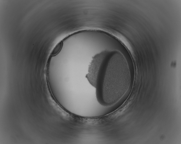 X0000090470958200708031302