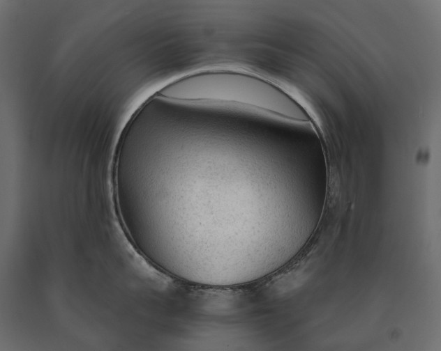 X0000090470959200708031302