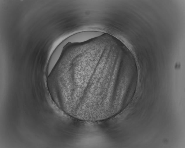 X0000090470960200708031302