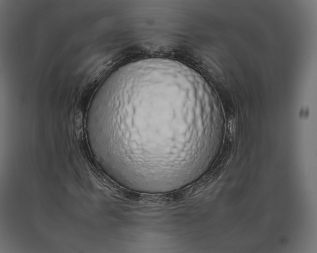 X0000090470963200708031301