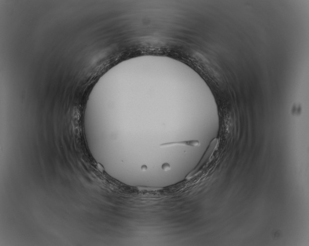 X0000090470964200708031301