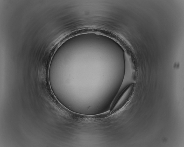 X0000090470969200708031301