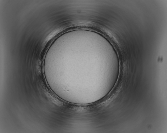 X0000090470970200708031301