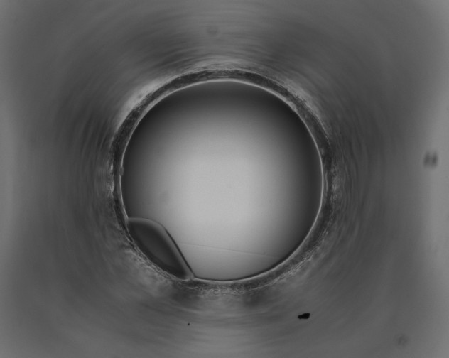 X0000090470973200708031301