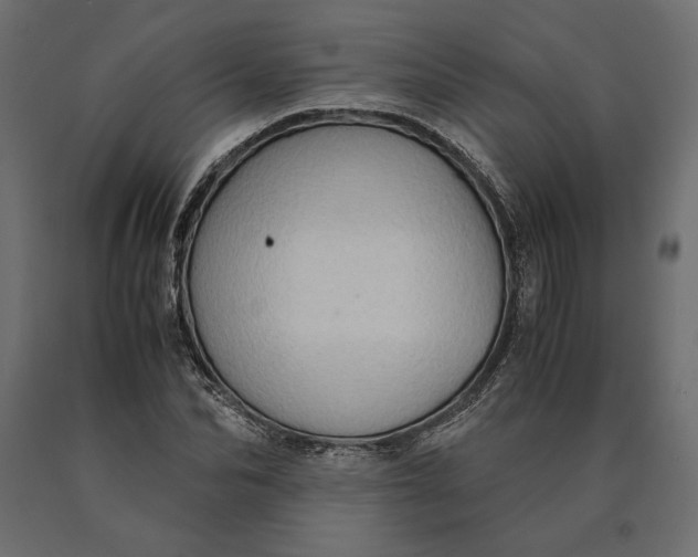 X0000090470974200708031301