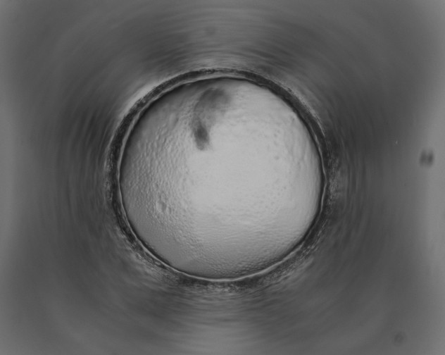 X0000090470975200708031301