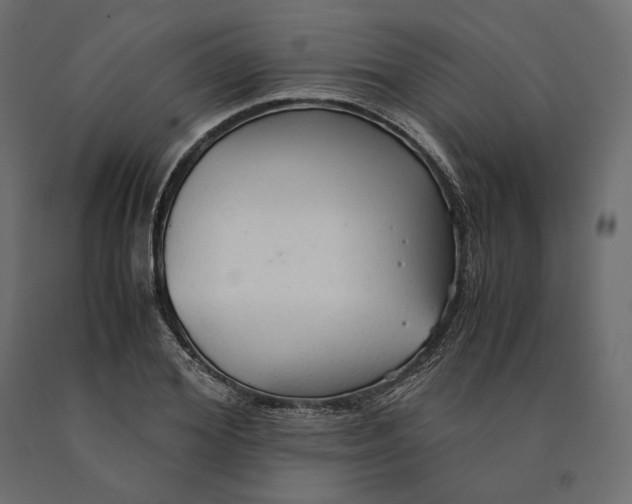 X0000090470980200708031301